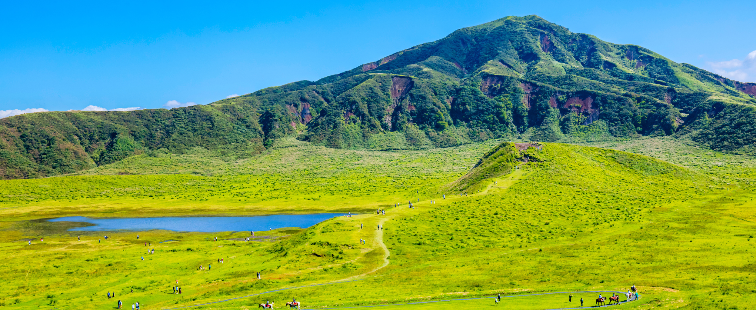 全日本軟式野球連盟九州連合会